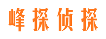 麒麟市场调查